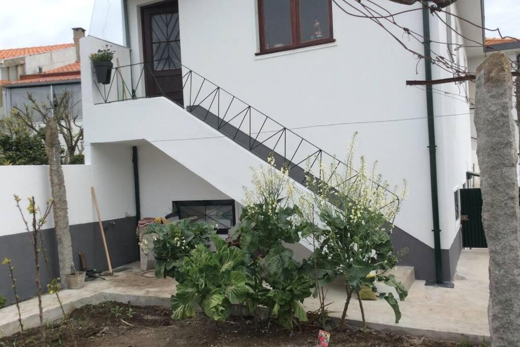 Casa Isabel 2 Bedroom Apartment Near Porto Fanzeres Dış mekan fotoğraf
